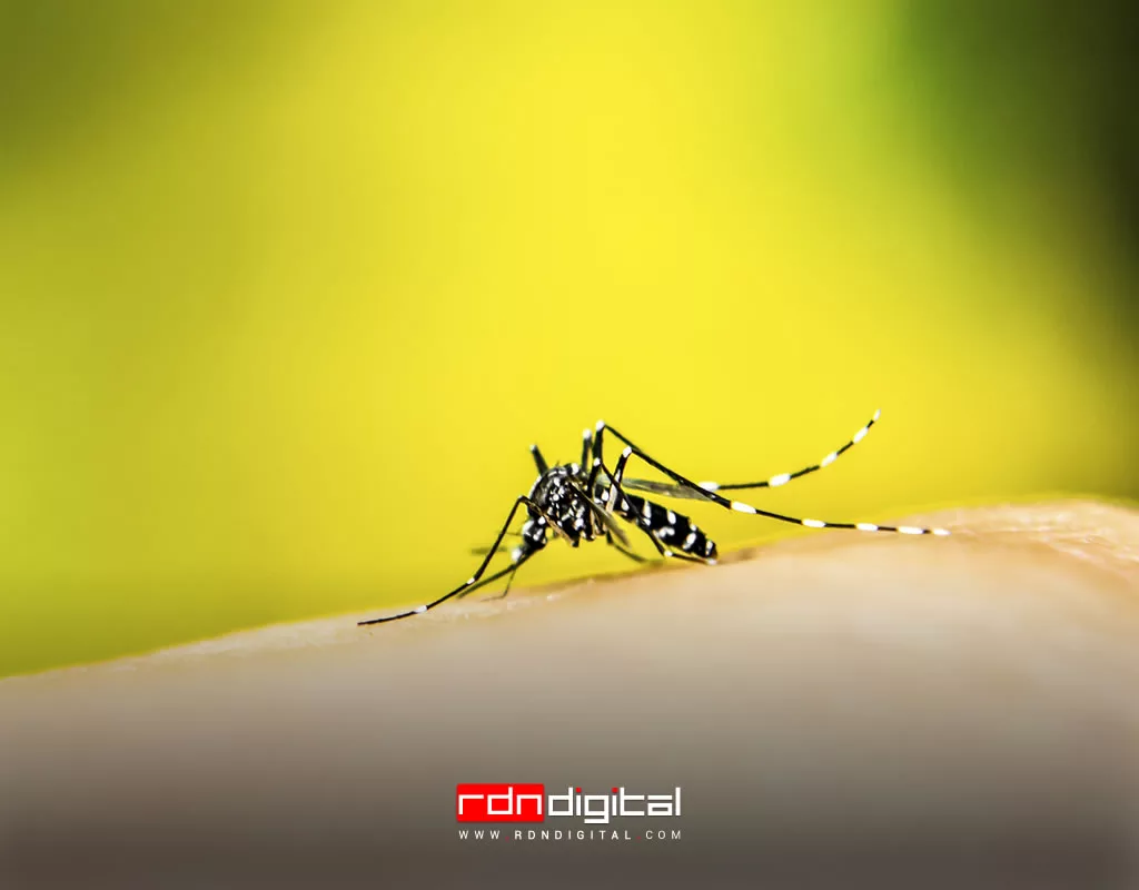Dengue y malaria en Venezuela