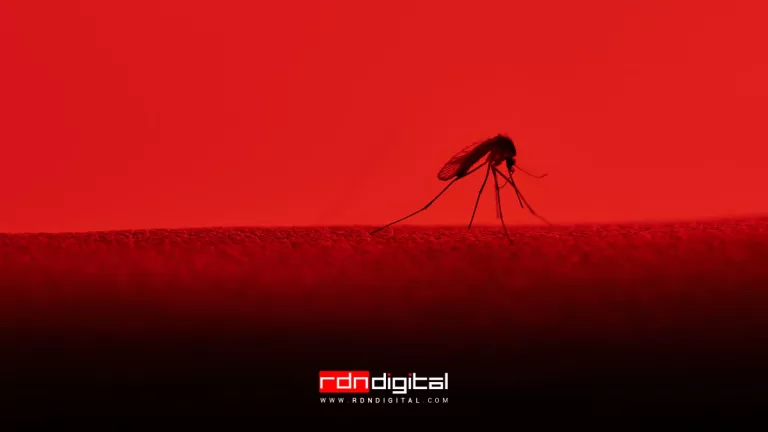 colores que atraen a los mosquitos