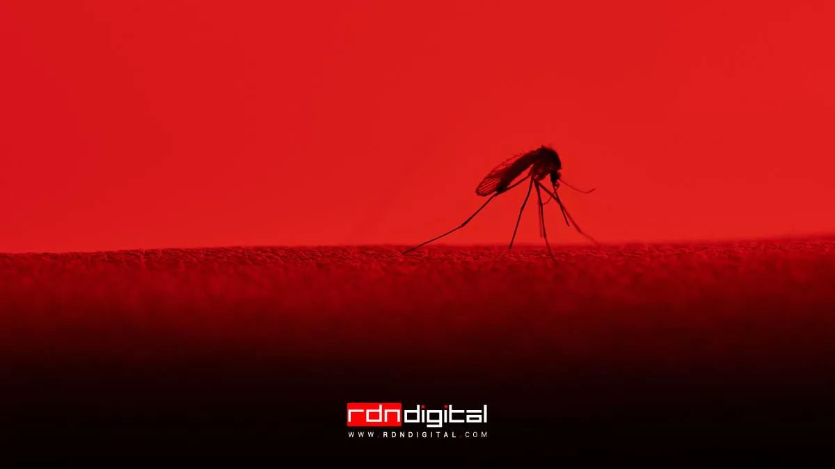 colores que atraen a los mosquitos