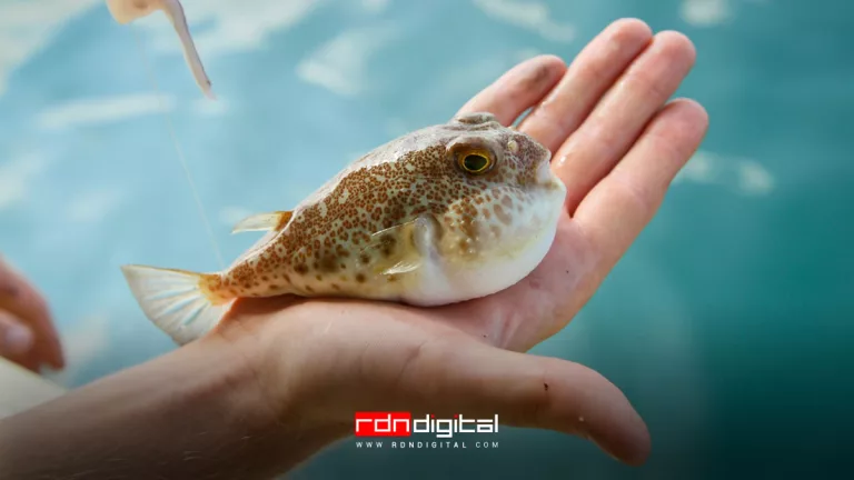 alimentos peligrosos