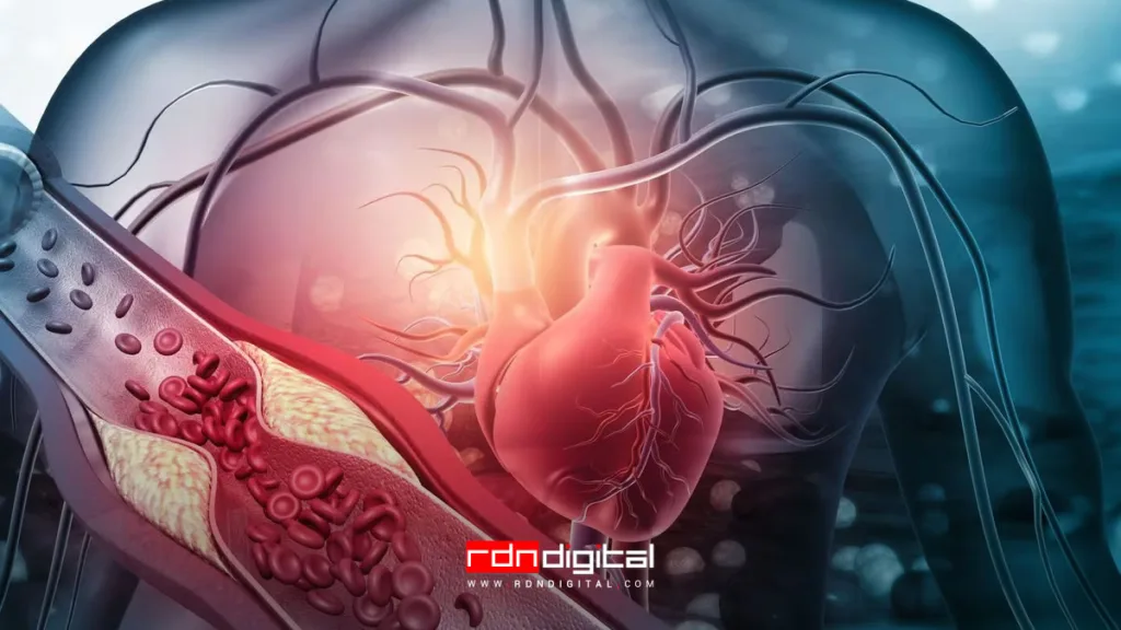 Triglicéridos Y Colesterol ¿cuál Es Más Dañino Para Tu Corazón Rdn Digital 7432