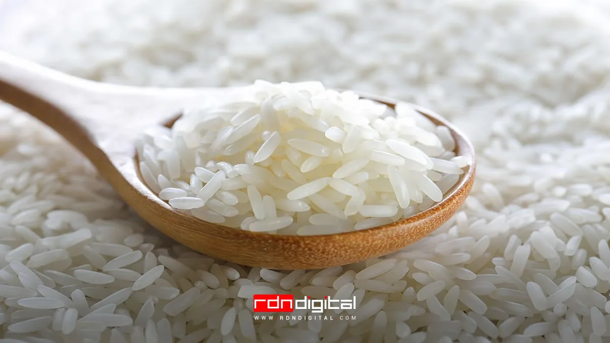 [Arroz: todo lo que debes saber sobre este alimento tan versátil ]