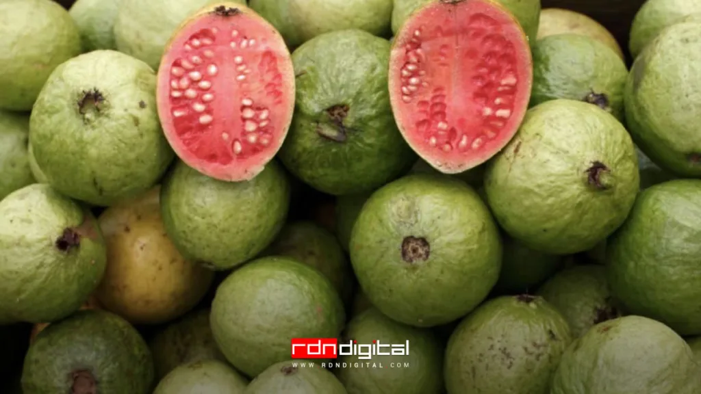 guayaba superalimento