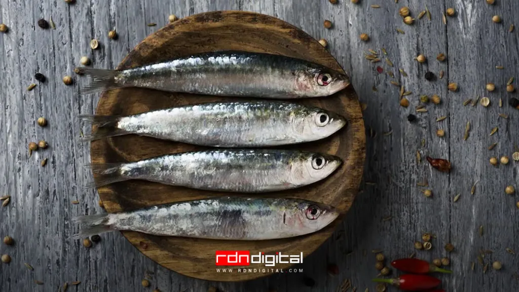 Sardinas colágeno omega 3