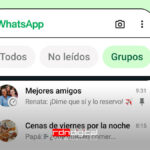 filtros WhatsApp chats