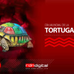 Día Mundial de la Tortuga