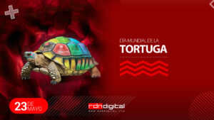 Día Mundial de la Tortuga