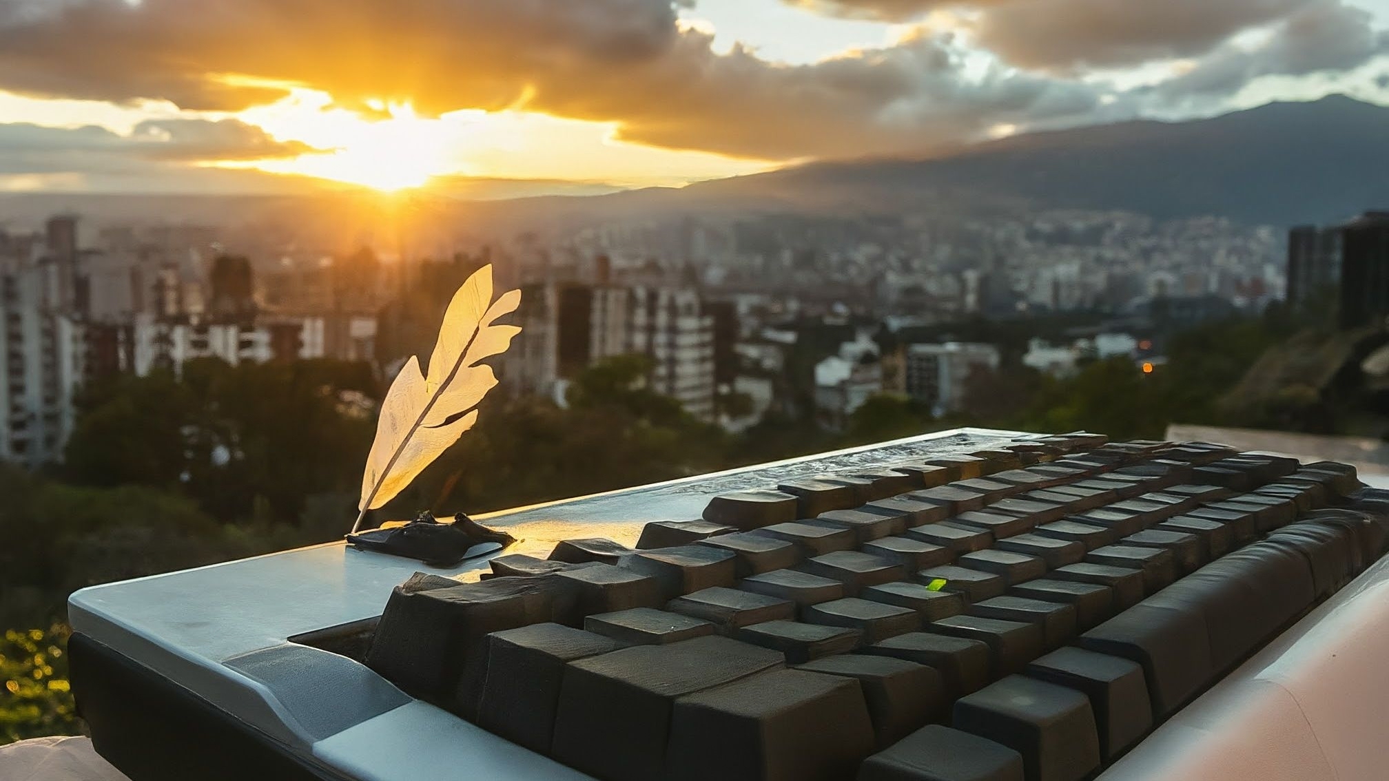 Libertad de expresión