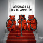 Ley de Amnistía