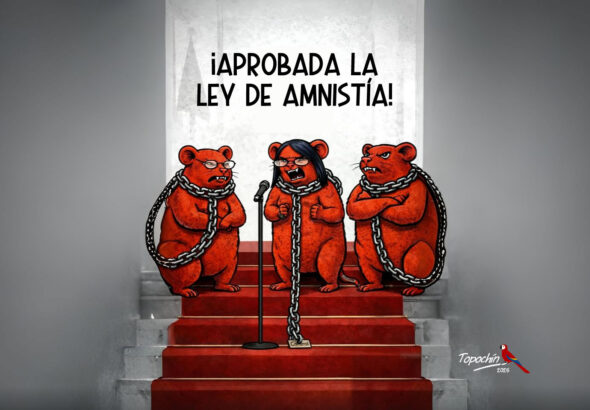 Ley de Amnistía
